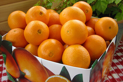 Caja Mixta: 10 kg Naranjas Mesa + 5 kg Mandarinas. Envío gratis.
